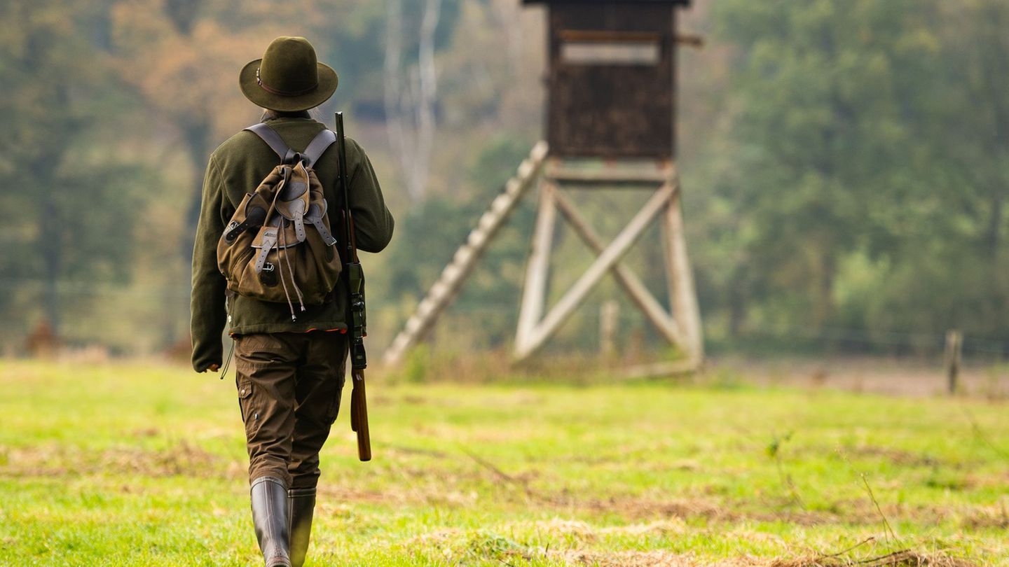 Natur: Spitzentreffen zu Jagdgesetzreform ohne Einigung