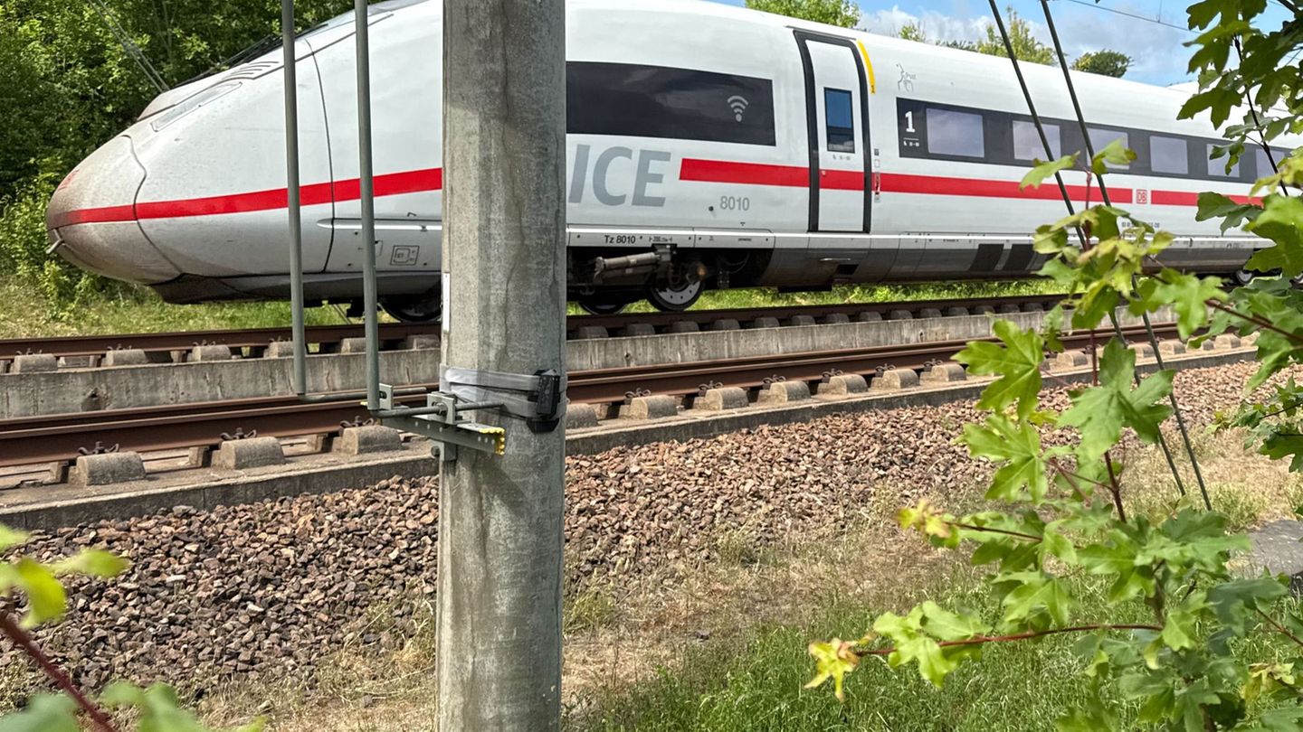 Bahn: Mit Piepsen und Blinken gegen Wildunfälle auf Gleisen