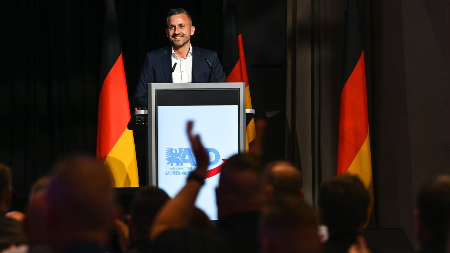 Parteien: AfD wählt Ulrich Siegmund zum Spitzenkandidaten