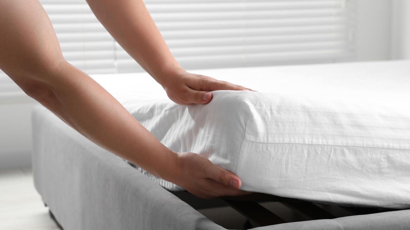 Für Allergiker: So schützen Sie sich im Bett vor Milben und verbessern die Schlafqualität