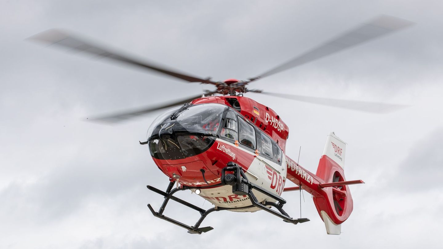 Notfälle: Kind verletzt sich beim Füttern von Pferd