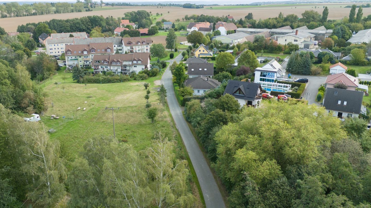 Gewaltverbrechen: Ehemann absichtlich überfahren – Mordprozess gegen Witwe