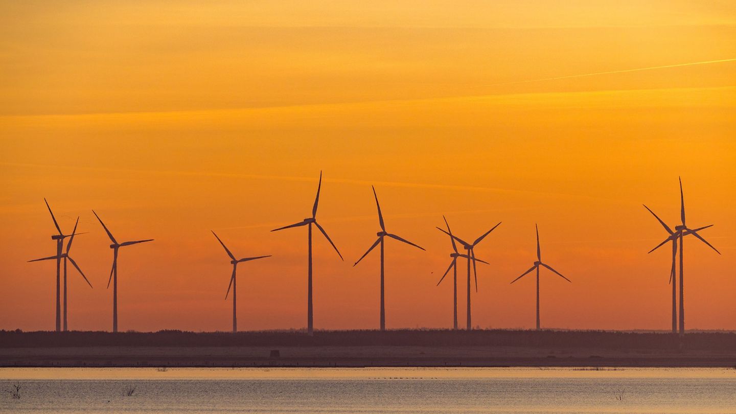 Windenergie in Berlin: Gaebler: Standorte für Windräder sind noch offen