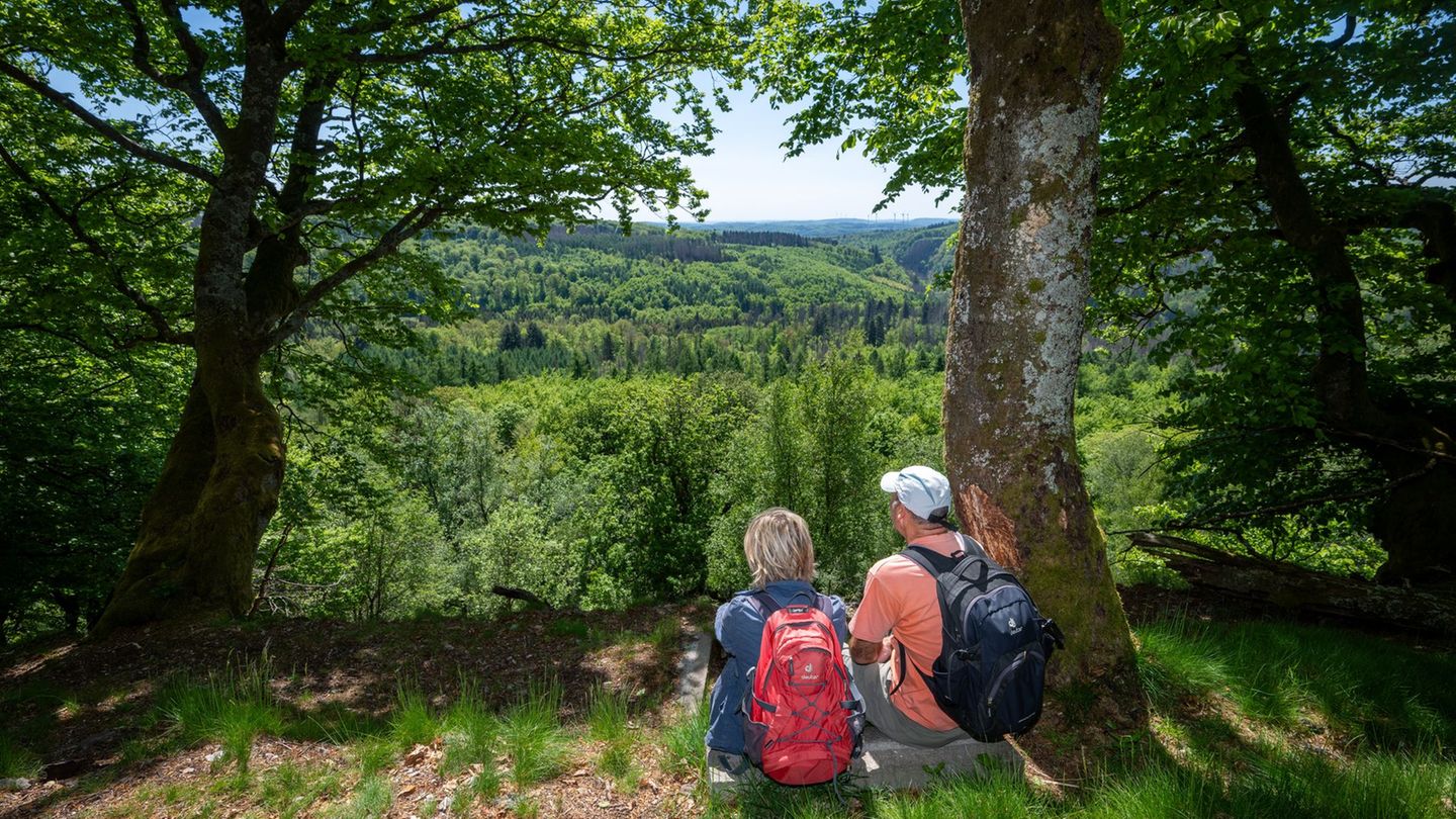 Umwelt: Nationalpark Hunsrück-Hochwald feiert erste zehn Jahre
