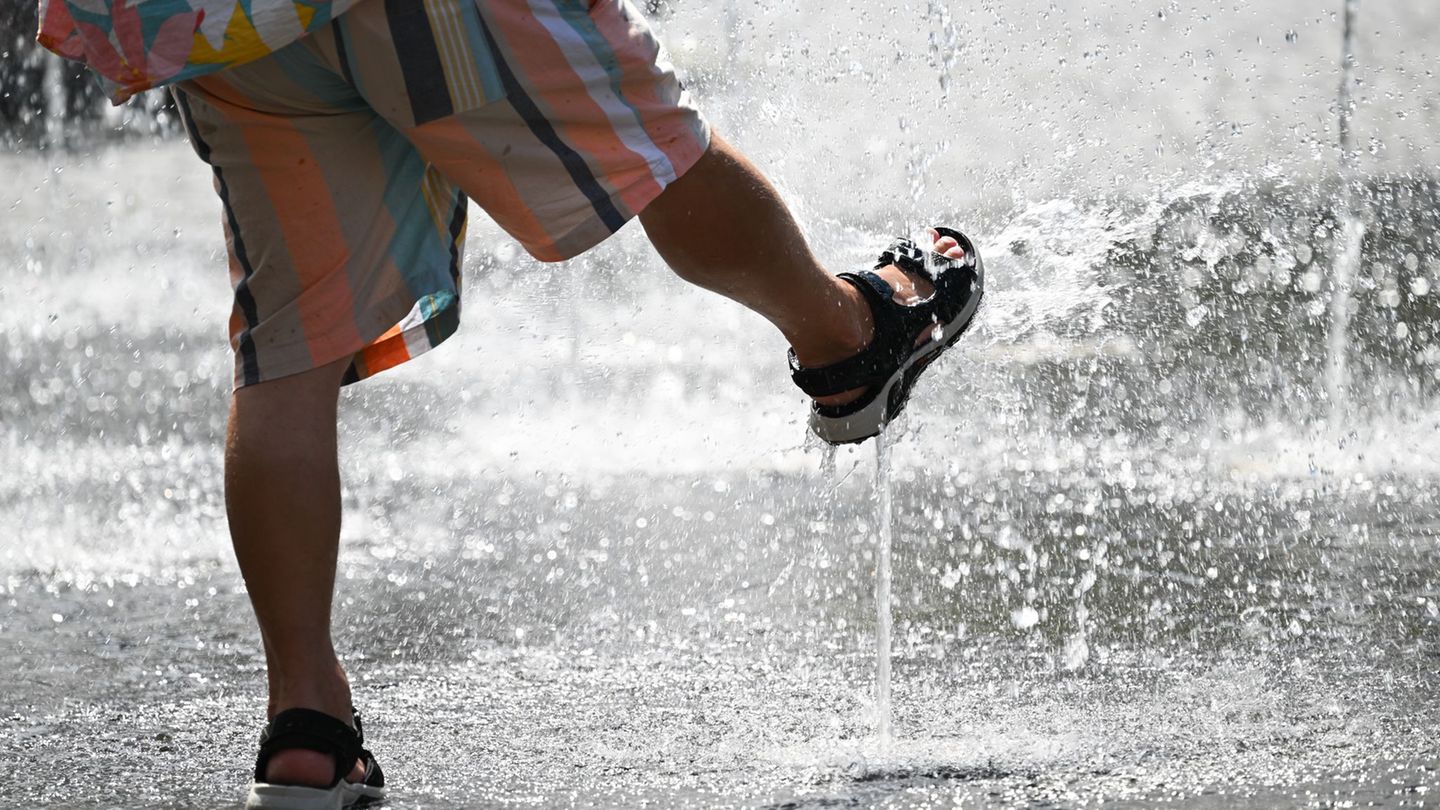 Hitzewelle: Die Hitze kommt: Temperaturen bis 35 Grad