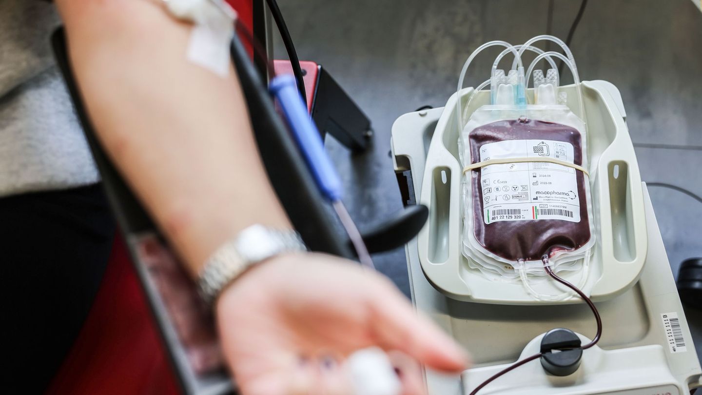 Gesundheit: Gesundheitsministerin ruft Jüngere zur Blutspende auf